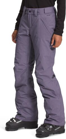 THE NORTH FACE Women's Freedom Insulated Pant (Standard and Plus Size) - Regular, Lunar Slate, Small Regular in Saudi Arabia