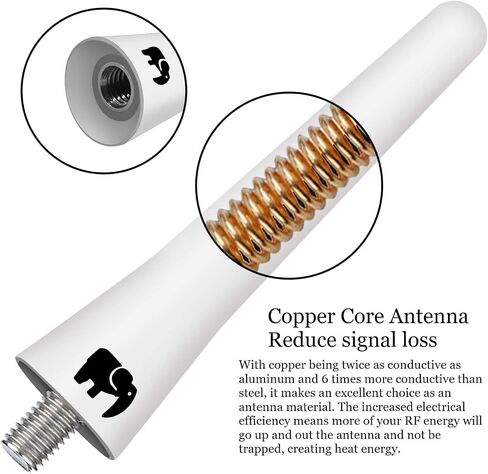 2.5" inch Short Copper Core Antenna, Compatible with Ford F-Series (F-150 F-250 F-350 Super Duty Ford Raptor Ranger Trucks 1997-2024) - Designed for Optimized FM/AM Reception (White) in Saudi Arabia