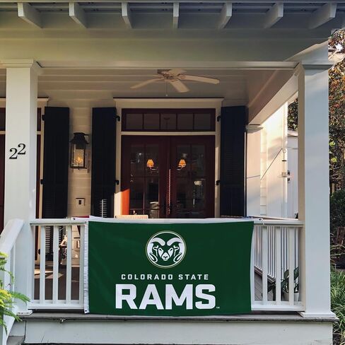 Desert Cactus Colorado State University Flag Rams CSU Flags Banners 100% Polyester Indoor Outdoor 3x5 (Style U) in Saudi Arabia