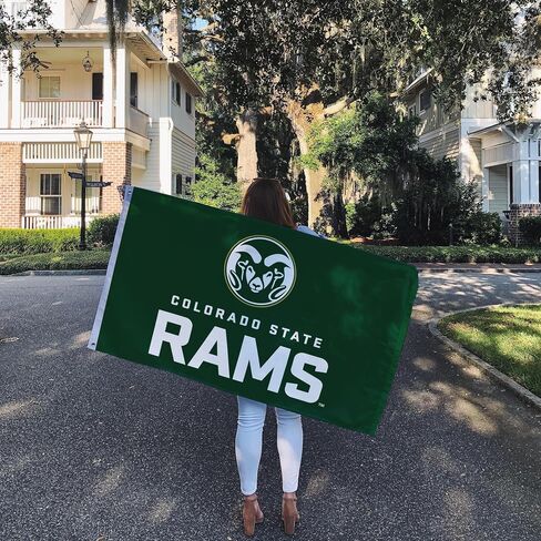 Desert Cactus Colorado State University Flag Rams CSU Flags Banners 100% Polyester Indoor Outdoor 3x5 (Style U) in Saudi Arabia