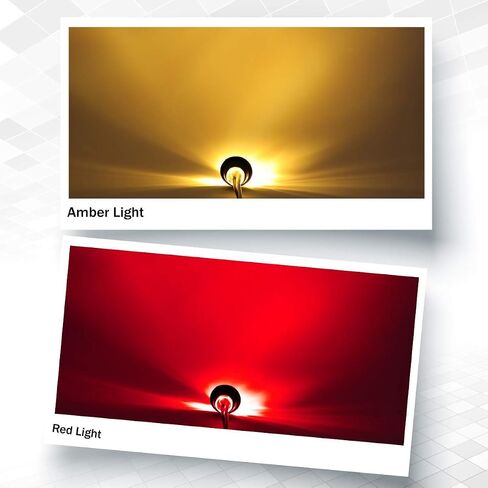 ميركات 3/4 بوصة صغيرة مستديرة بيضاء 3 LED علامة جانبية مختومة فلوش جبل ضوء مقاوم للماء لشاحنة حافلة فان قارب شاحنة 12 فولت تيار مستمر عالمي. in Saudi Arabia