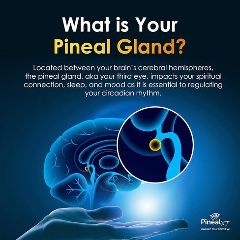 Pineal XT Gold - يعزز التنوير الروحي - إزالة الكلس ودعم الغدة الصنوبرية، 30 كبسولة نباتية in Saudi Arabia