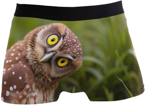 Funny Burrowing Owl Men Boxer Briefs Men's Underwear Comfort Soft Boxer Briefs in Saudi Arabia
