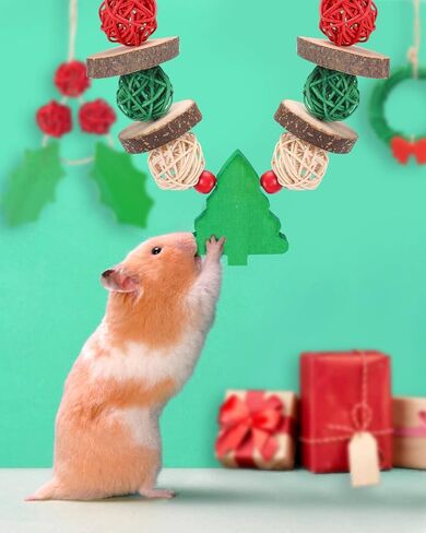 Xylolfsty 3PCS Chinchilla Toys Guinea Pig Bunny Rabbit Chew Toys Teeth Care Grinding Accessories for Small Animals Dwarf Pet Rat Cage Hanging Halloween-Themed in Saudi Arabia