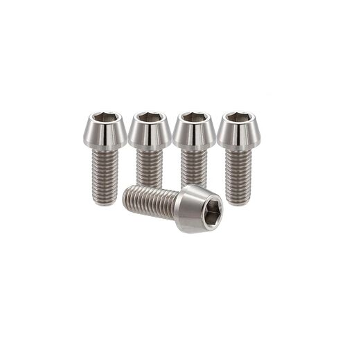 RISON التيتانيوم البراغي Ti Bolt M8 * 1.25*25 عرافة مدبب المقبس رئيس 5 قطعة الأصلي التيتانيوم عرافة مدبب رئيس الترباس المسمار لجذع الدراجة in Kuwait