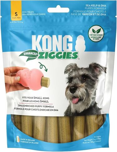Ziggies Ziggies Kong تعزيز أسنان تنظيف الكلاب - يمكن استخدامها مطاطية كلاسيكية الألعاب الكلاسيكية (صغيرة) in Saudi Arabia