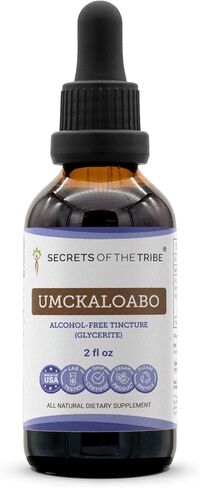 Secrets of the Tribe - Umckaloabo Tincture Alcohol-Free Extract, Wildcrafted Umckaloabo (Pelargonium Sidoides) Dried Root 2 Fl Oz in Saudi Arabia
