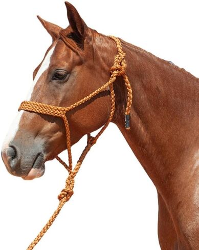 كاشيل الرسن جديلة مسطحة وLeadrope in Kuwait
