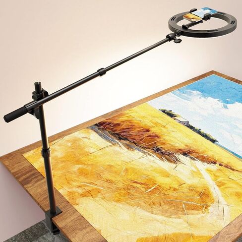 Selfie Ring Light with Stand and Phone Holder with Tripod Stand & Cell Phone Holder,Overhead Camera Phone Mount LED Halo Circle Lights Phone Stand for Video Recording/Live Stream/Vlog/YouTube/TikTok in Kuwait