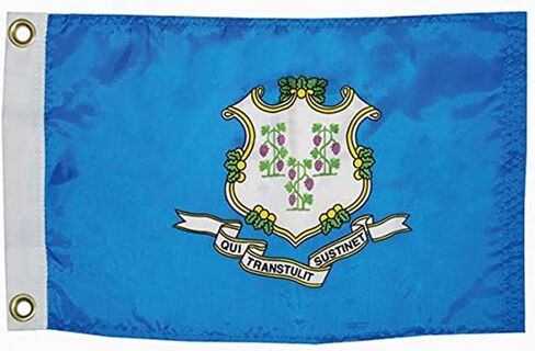 TAYLOR MADE PRODUCTS Flag 93098, Idaho in Kuwait