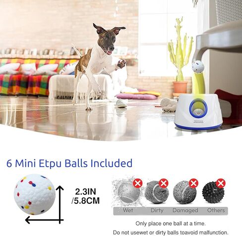 Tennis Balls for Dogs - 2 Inch, Yellow, Tennis Ball Launcher Compatible, Dog Balls for Fetch and Play in Saudi Arabia