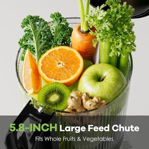 EanOruus Cold Press Juicer, 5.8" Wide Feed Chute Juice Extractor Machine with 400W, High Juice Yield, Slow Masticating Juicer for Whole Vegetables & Fruits, Silver in Kuwait