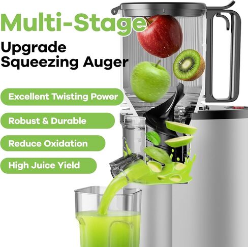 EanOruus Cold Press Juicer, 5.8" Wide Feed Chute Juice Extractor Machine with 400W, High Juice Yield, Slow Masticating Juicer for Whole Vegetables & Fruits, Silver in Kuwait