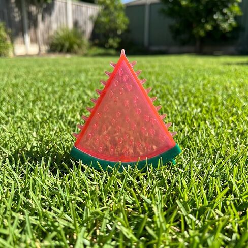 Watermelon Shaped Chew Toy for Pets, Red and Green, Spiky Texture in Saudi Arabia