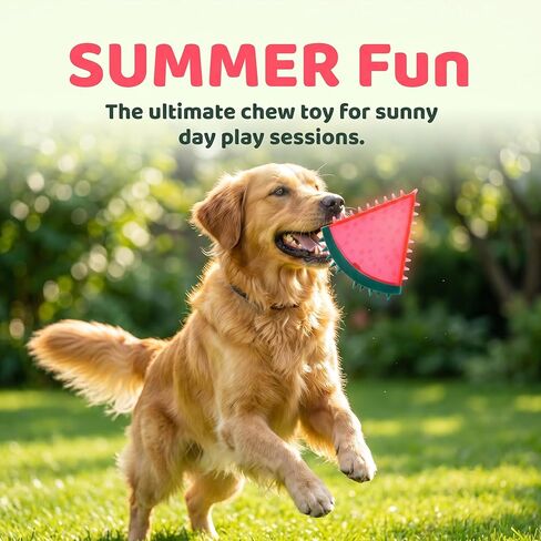 Watermelon Shaped Chew Toy for Pets, Red and Green, Spiky Texture in Saudi Arabia