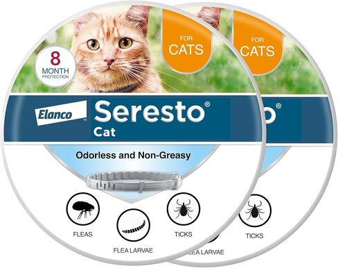 طوق Seresto Cat الذي يوصي به الطبيب البيطري لعلاج ومنع البراغيث والقراد للقطط | حماية لمدة 8 أشهر in Kuwait