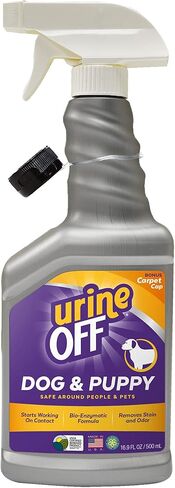 Urine Off Kitten & Cat Pet Stain Remover | Freshly Scented Carpet Cleaner | Bio Enzymatic Stain & Urine Odor Eliminator | Pet Safe Cleaner | 32 oz. in Kuwait