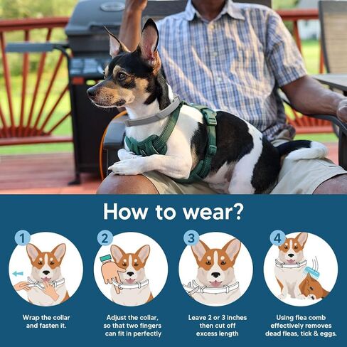 Flea Collar for Small Dogs, Flea and Tick Collar for Puppy, Small Dog Flea Collar Under 18 lbs, 8 Months Protection-2P in Kuwait
