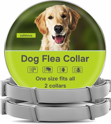 Flea and Tick Prevention for Dogs - Flea Collar - 2 Count - Adjustable in Kuwait