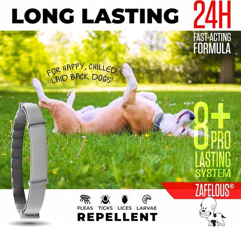 Flea and Tick Prevention for Dogs - Flea Collar - 2 Count - Adjustable in Kuwait