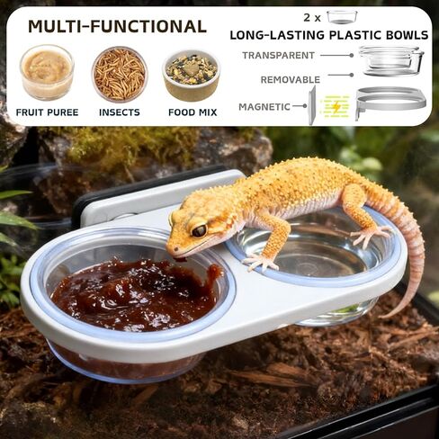 Magnetic Reptile Feeding Ledge with 2 Pack Plastic Bowls Food Feeder Water Dish for Crested Gecko Dwarf Hamster(Gray, Magnetic-Mounted) in Kuwait