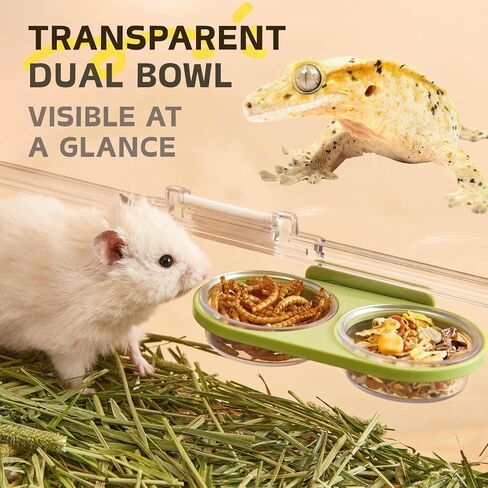 Magnetic Reptile Feeding Ledge with 2 Pack Plastic Bowls Food Feeder Water Dish for Crested Gecko Dwarf Hamster(Gray, Magnetic-Mounted) in Kuwait