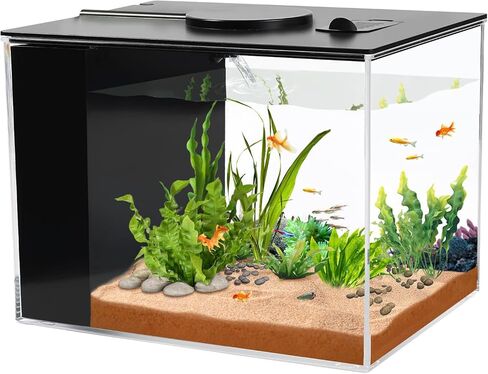 AQUANEAT Fish Tank, 1 Gallon Betta Fish Tank, Small Aquarium Kit with LED Light and Water Filter Pump in Kuwait