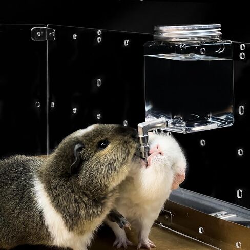 GuineaLoft™ Clear View Water Bottle - for Guinea Pigs & Birds, the Ultimate Solution by Seasoned Owners Who Tried Everything Out There in Kuwait