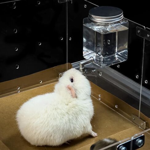 GuineaLoft™ Clear View Water Bottle - for Guinea Pigs & Birds, the Ultimate Solution by Seasoned Owners Who Tried Everything Out There in Kuwait