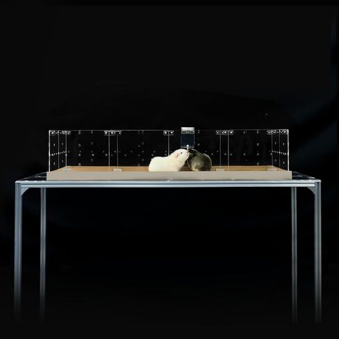 GuineaLoft™ Clear View Water Bottle - for Guinea Pigs & Birds, the Ultimate Solution by Seasoned Owners Who Tried Everything Out There in Kuwait
