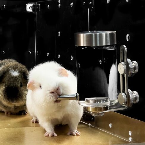 GuineaLoft™ Stainless Steel Glass Waterbottle w/Magnetic Mount – 150ml Premium Modern Glass Waterbottle for Guinea Pigs, Chincillas, Hamsters, Birds & Other Small Animals in Kuwait