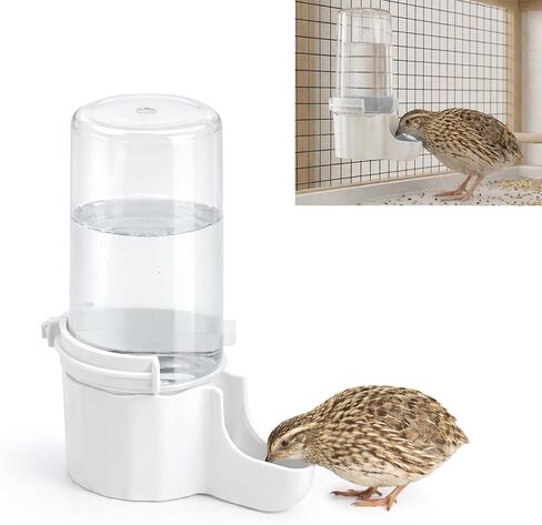 Quail Chick Waterer with Anti-Drowning Shallow Tray, 16.6 fl oz Automatic Gravity Button Quail Waterer, Hanging or Free-Standing Bird Water Dispenser for Wire Mesh Cages and Brooders (White) in Saudi Arabia