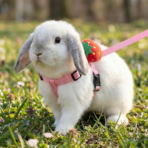 4 Sets Adjustable Bunny Rabbit Harness and Leash Set Small Pet Cute Vest Harness Leash with Decoration for Bunny Ferret Small Pets(Designs: Rabbit/Carrot/Duck/Strawberry) in Kuwait