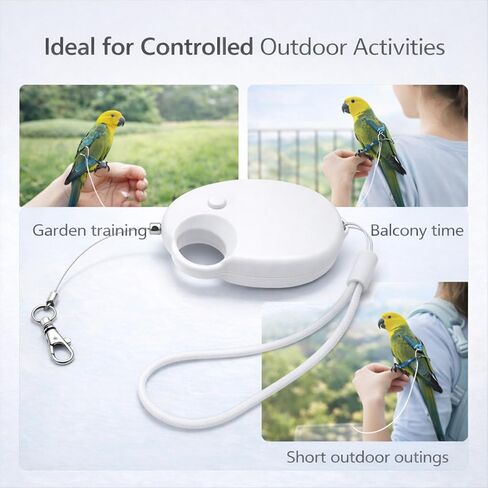Outdoor Hiking Retractable Parrot Leash – 20FT Lightweight Bite-Proof Steel Wire | Compatible with Bird Harness & Foot Rings/Chains, for Large Parrots (Cockatoo, Macaw, Conure) in Kuwait