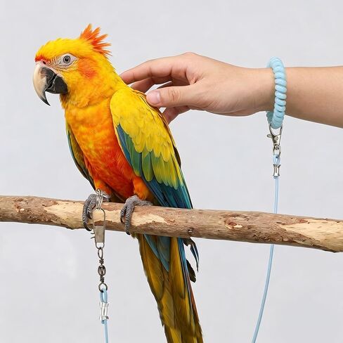 Bird Leash with 4 Different Size Foot Ring, Parrot Flying Rope Elastic Bird Harness Flying Leash Outdoor Training Traction Rope for Conure Cockatiel Parakeet Macaw Budgerigar in Kuwait