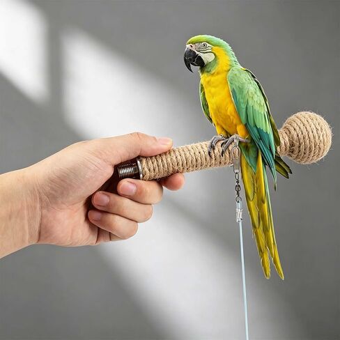Bird Leash with 4 Different Size Foot Ring, Parrot Flying Rope Elastic Bird Harness Flying Leash Outdoor Training Traction Rope for Conure Cockatiel Parakeet Macaw Budgerigar in Kuwait