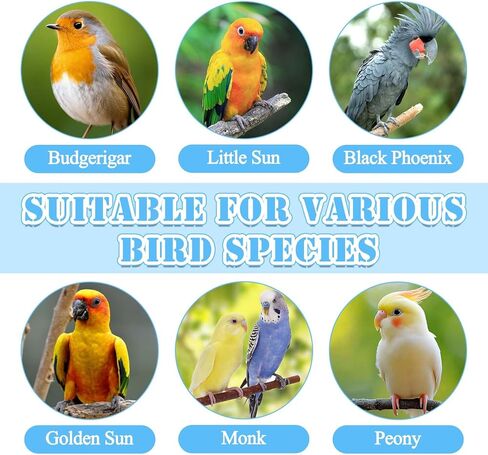 Bird Leash with 4 Different Size Foot Ring, Parrot Flying Rope Elastic Bird Harness Flying Leash Outdoor Training Traction Rope for Conure Cockatiel Parakeet Macaw Budgerigar in Kuwait