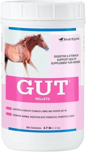Gut™ Pellets | Healthy Gut Probiotics for Horses | Equine Prebiotic & Probiotic | Horse Stomach Supplement | 2.7 lb in Kuwait