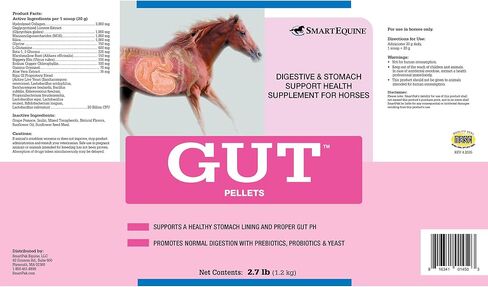 Gut™ Pellets | Healthy Gut Probiotics for Horses | Equine Prebiotic & Probiotic | Horse Stomach Supplement | 2.7 lb in Kuwait