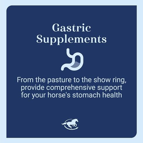 Gut™ Pellets | Healthy Gut Probiotics for Horses | Equine Prebiotic & Probiotic | Horse Stomach Supplement | 2.7 lb in Kuwait