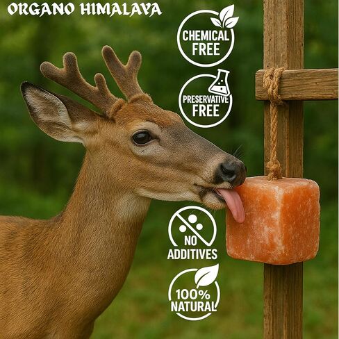 Himalayan Salt Lick On Rope 3.5-4 lb Each (Pack of 3) for Horses, Deer, Goats & Livestock | Natural, Mineral-Rich, Long-Lasting Salt Blocks in Kuwait