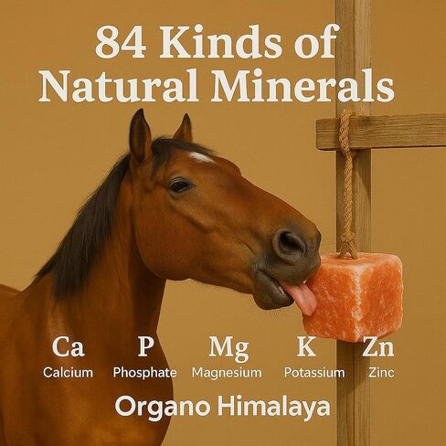 Himalayan Salt Lick On Rope 3.5-4 lb Each (Pack of 3) for Horses, Deer, Goats & Livestock | Natural, Mineral-Rich, Long-Lasting Salt Blocks in Kuwait