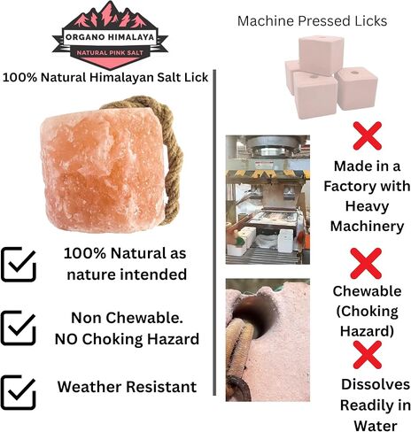 Himalayan Salt Lick On Rope 3.5-4 lb Each (Pack of 3) for Horses, Deer, Goats & Livestock | Natural, Mineral-Rich, Long-Lasting Salt Blocks in Kuwait