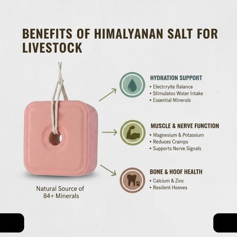 Compressed Himalayan Salt Lick 6 lbs, Big Block, Licking Salt for Horses, Deer Salt Lick Block, Block Salt on Rope, Himalayan Licking Salt for Animals. in Kuwait