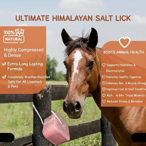 Compressed Himalayan Salt Lick 6 lbs, Big Block, Licking Salt for Horses, Deer Salt Lick Block, Block Salt on Rope, Himalayan Licking Salt for Animals. in Kuwait