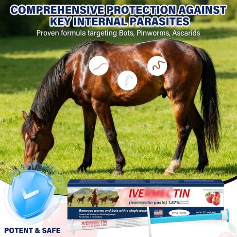 Equine Paste 1.87% – 6 Pack (6.08g) Apple Flavored Oral for Horses in Kuwait