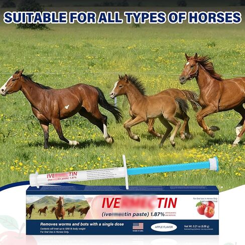 Equine Paste 1.87% – 6 Pack (6.08g) Apple Flavored Oral for Horses in Kuwait