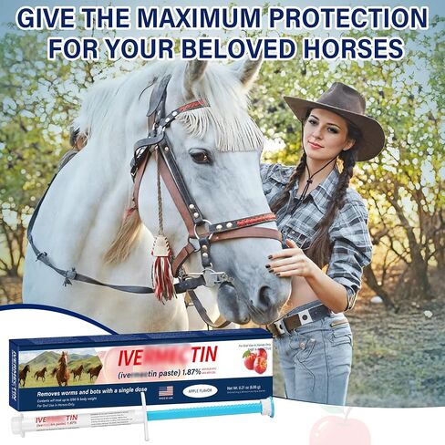 Equine Paste 1.87% – 6 Pack (6.08g) Apple Flavored Oral for Horses in Kuwait