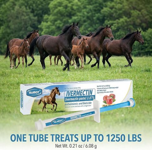 12 Pack Ivermectin Horse Paste 1.87% – Apple Flavored Oral Dewormer for Horses in Kuwait