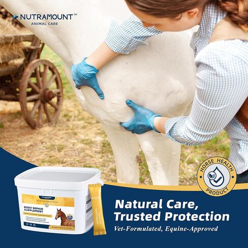 Body Repair Supplement for Horses, Amino Acids for Muscle Recovery, Protein Support & Performance-100 Day Supply in Kuwait